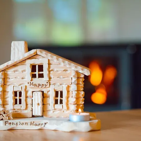 Gasthuis Happy Superior 3*