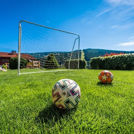 Gasthuis Happy Superior